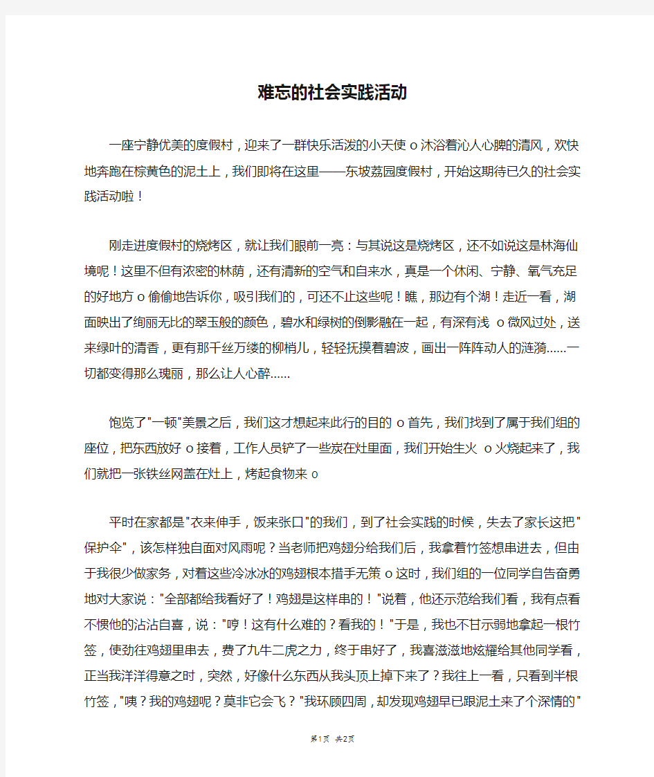 难忘的社会实践活动_二年级作文