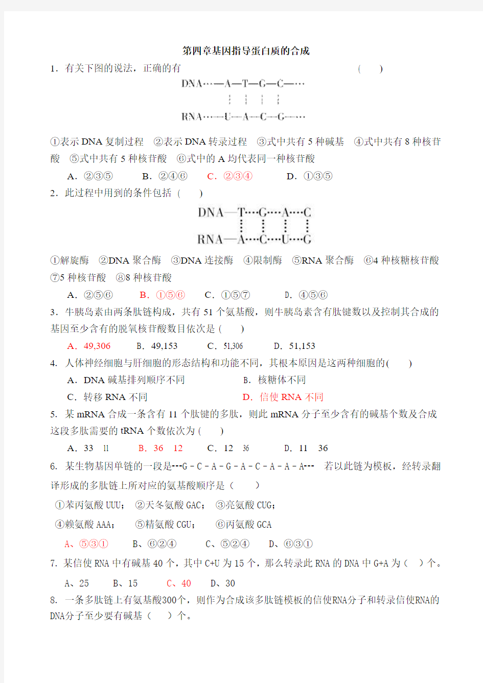 第四章基因指导蛋白质的合成