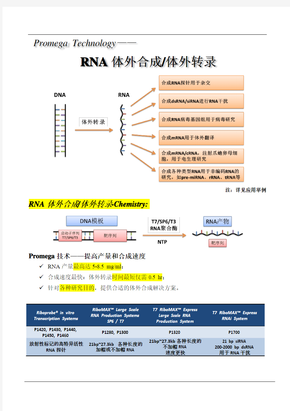 体外转录