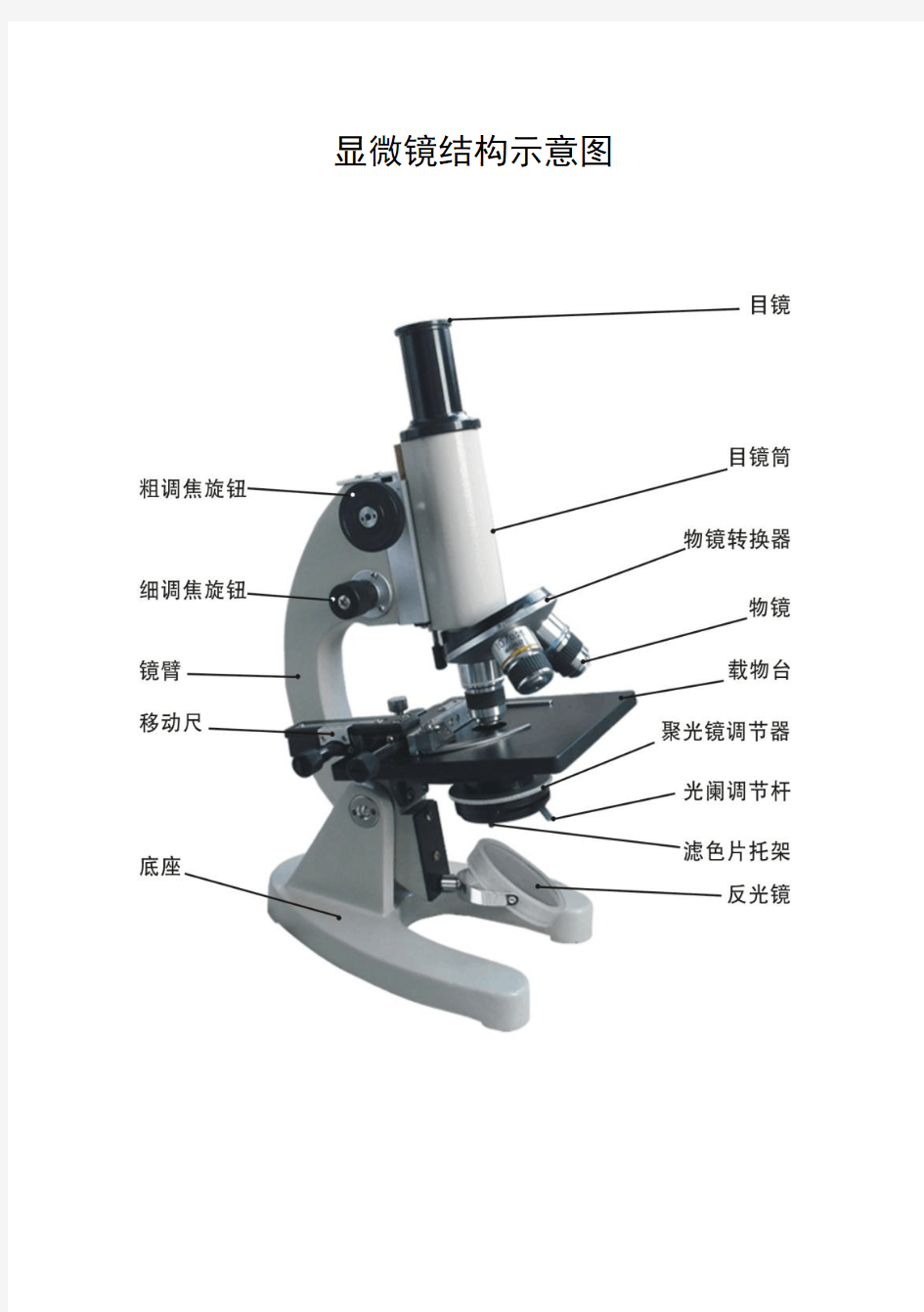 显微镜使用调节说明书