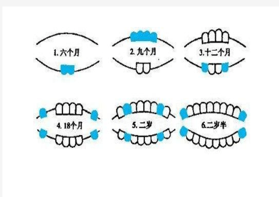 儿童出牙及换牙顺序图[1]