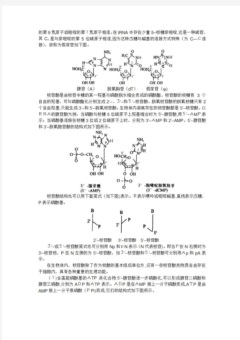 核酸的结构与生物学功能