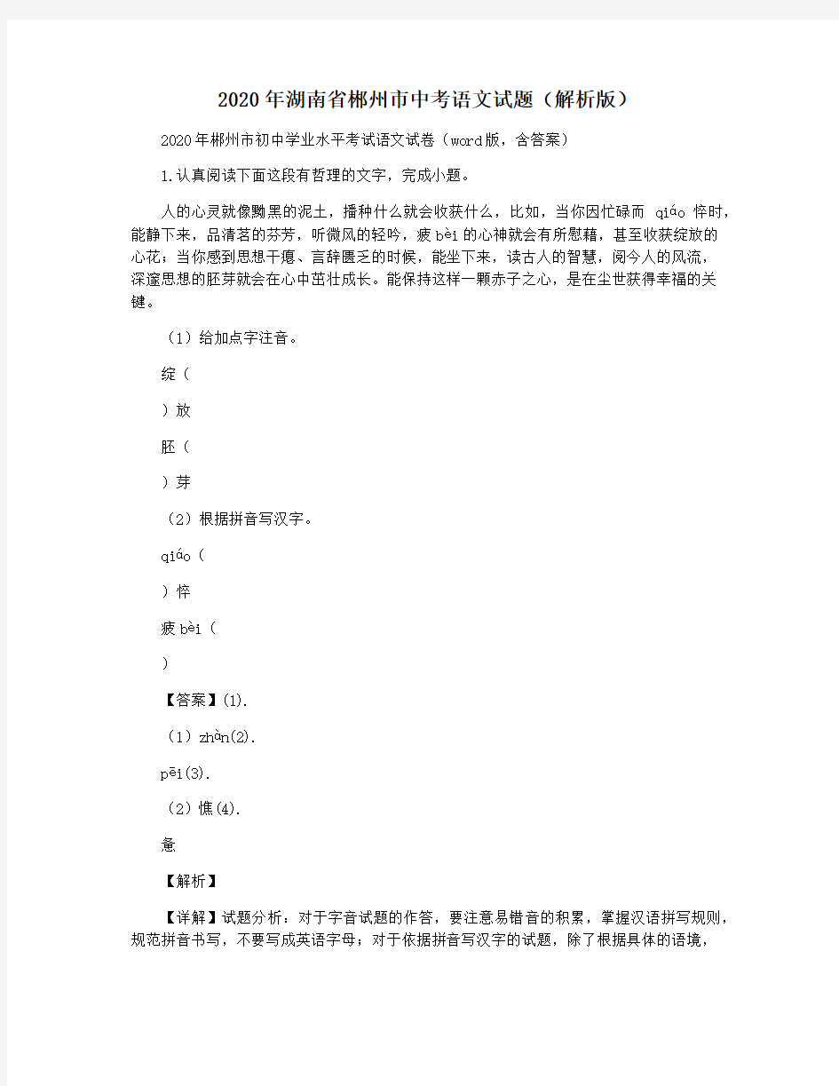 2020年湖南省郴州市中考语文试题(解析版)