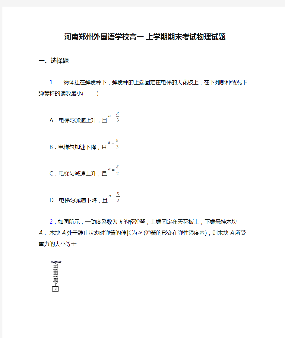 河南郑州外国语学校高一 上学期期末考试物理试题