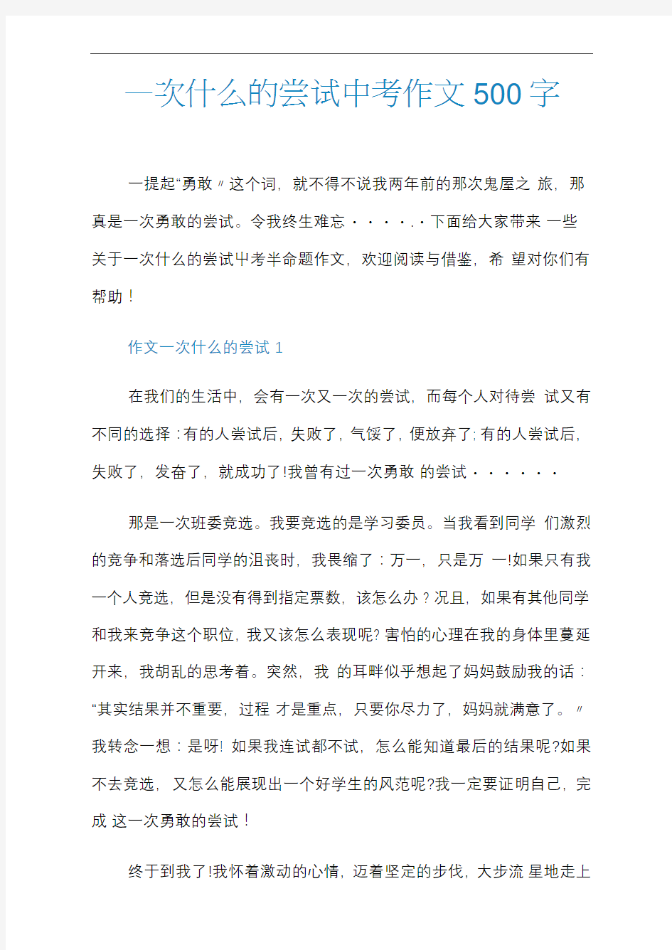 一次什么的尝试中考作文500字