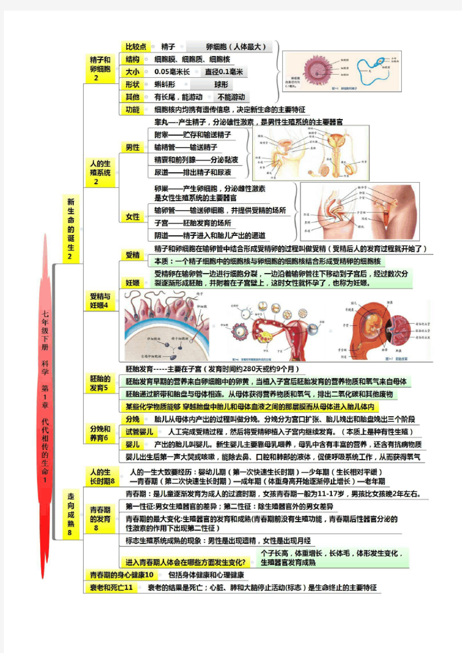 七下第一章思维导图(优选.)