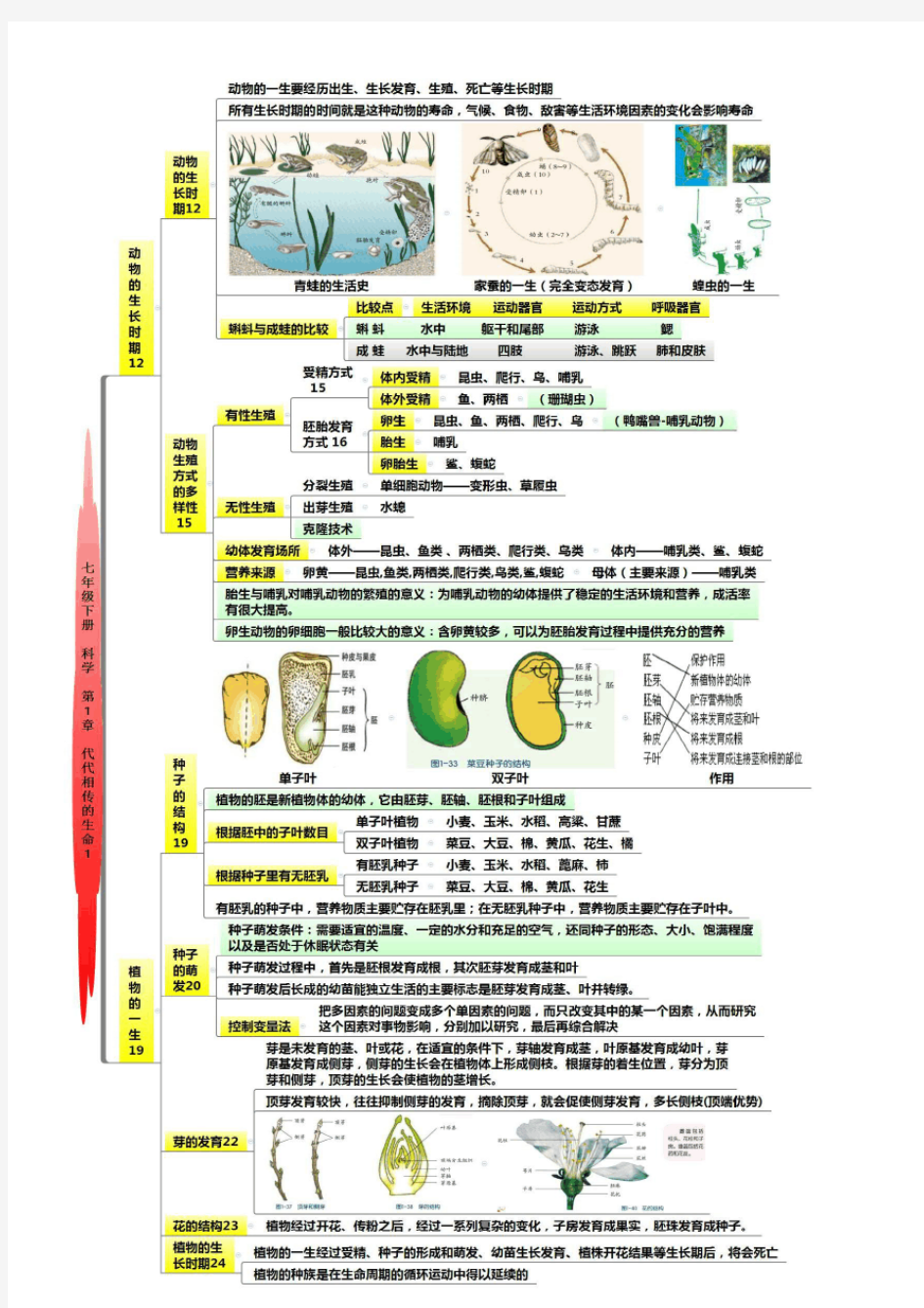 七下第一章思维导图(优选.)