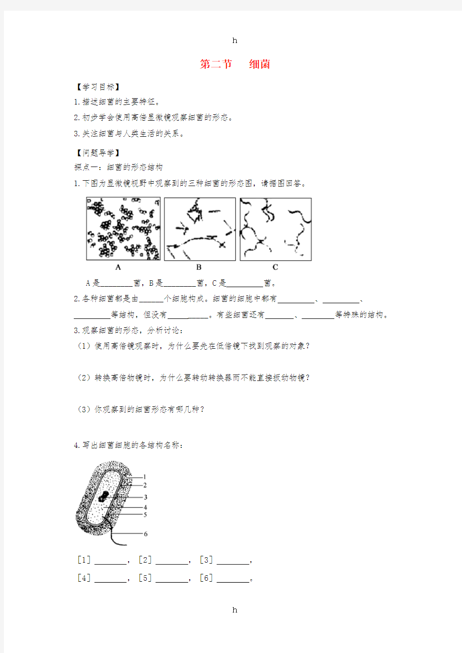 七年级生物上册2.3.2细菌导学案3无答案新版济南版