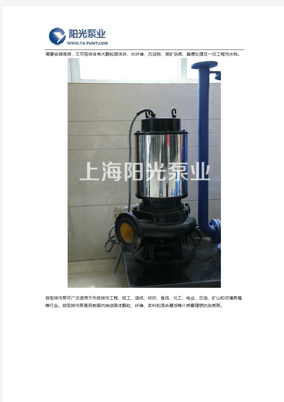 自吸排污泵与液下排污泵优缺点