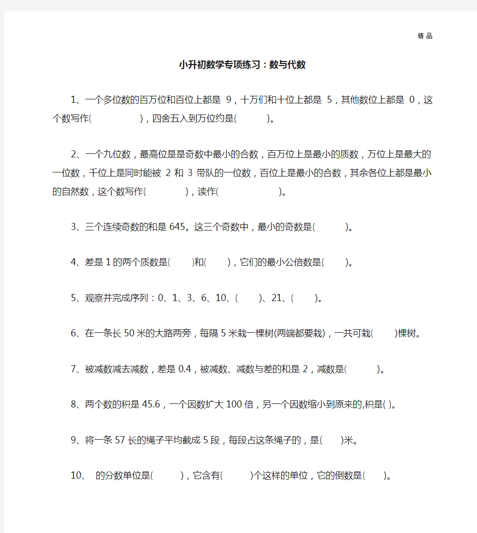 小升初数专项练习 数与代数