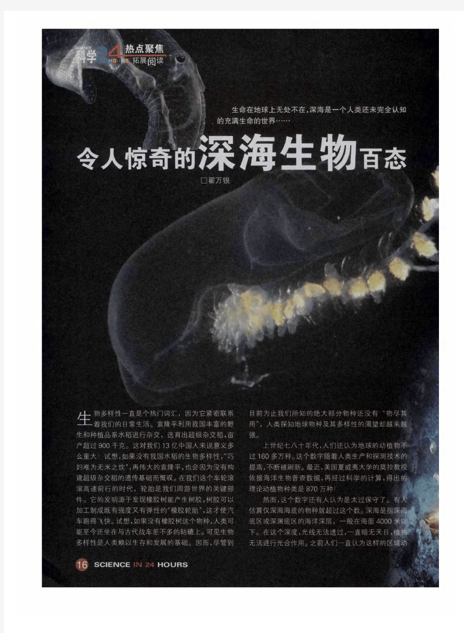 令人惊奇的深海生物百态