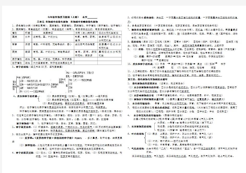 人教版七年级生物上册期末复习提纲(第三单元完整版)