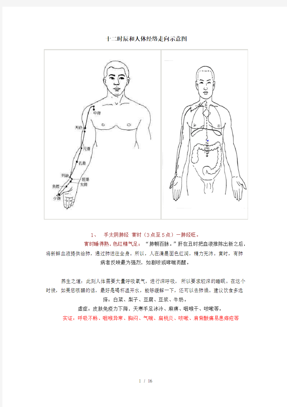 十二时辰和人体经络走向示意图