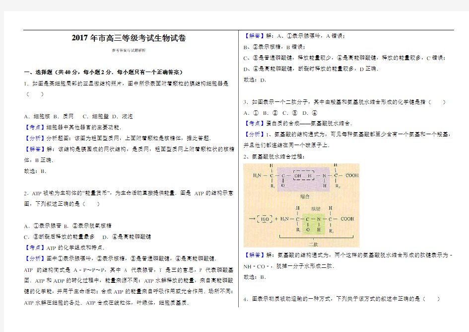 2017上海生物等级考解析版