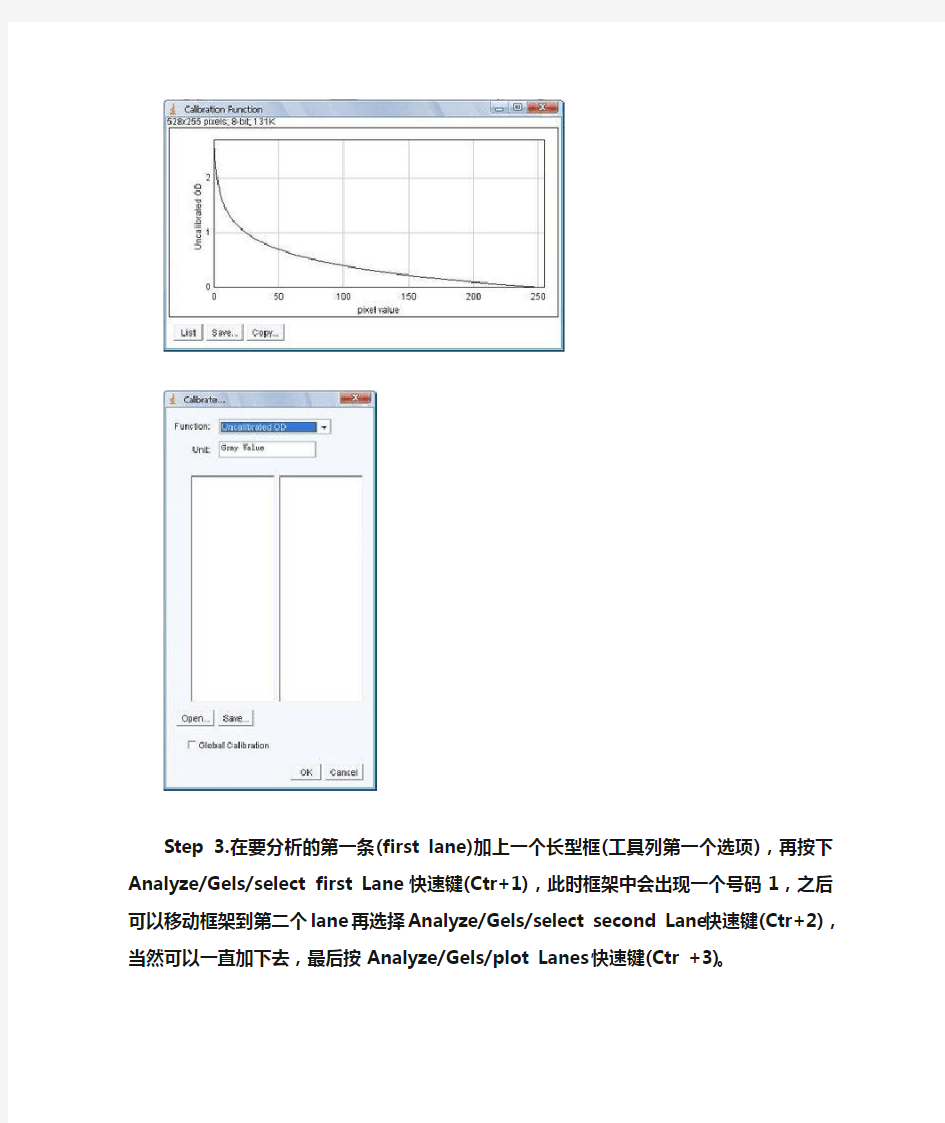 ImageJ分析电泳条带灰度