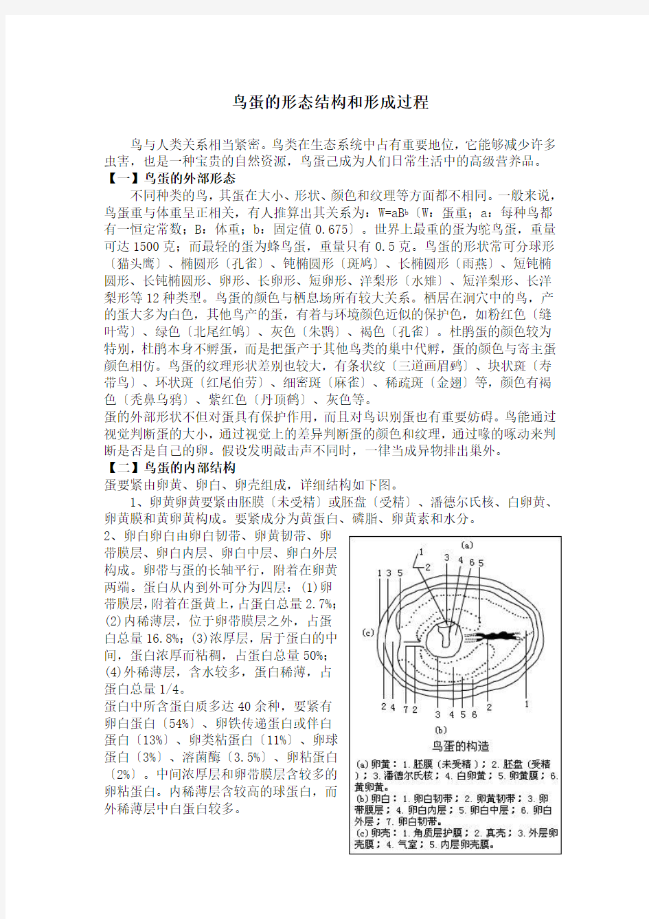 鸟蛋的形态结构和形成过程