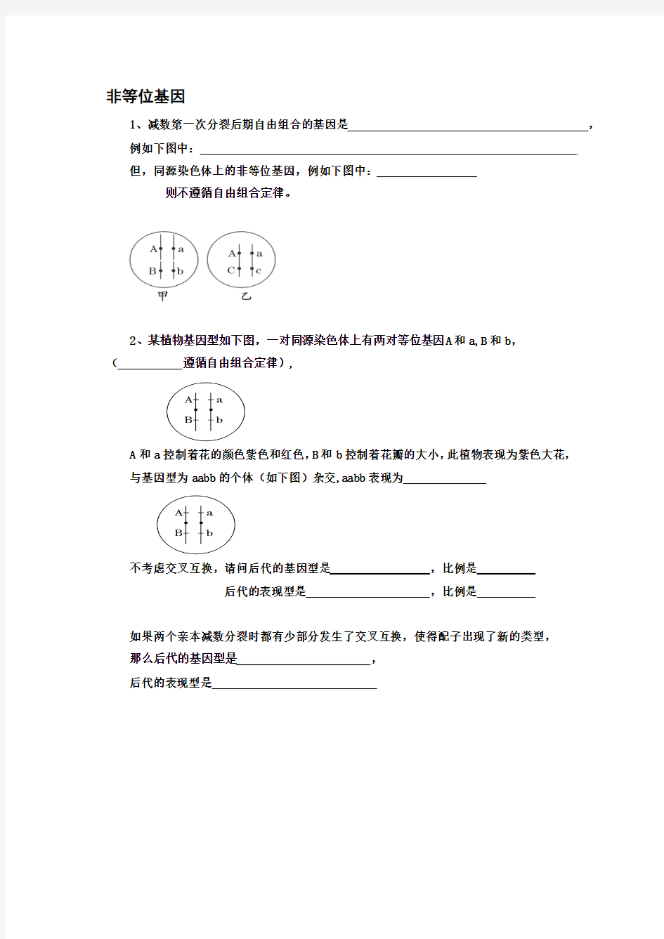 非等位基因