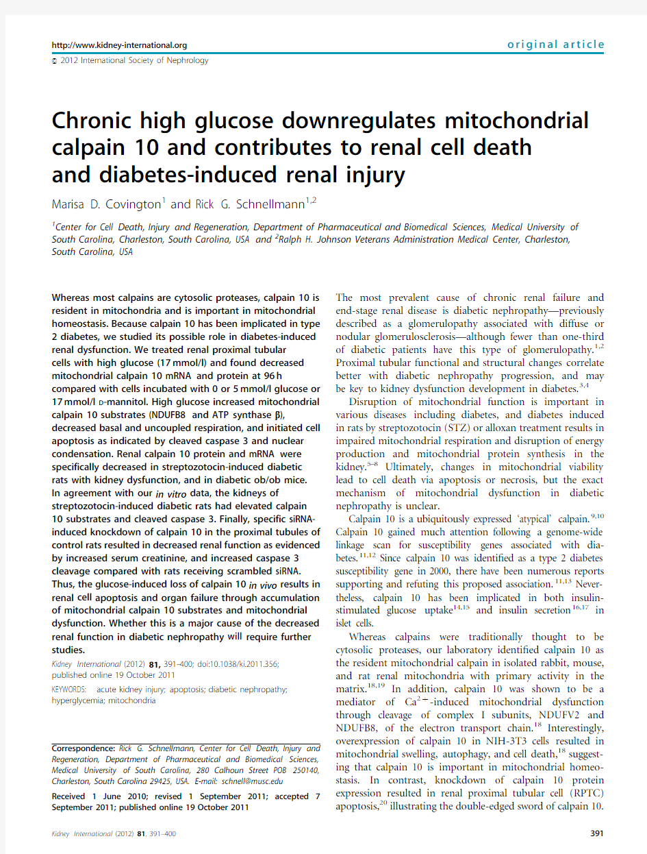 Chronic high glucose
