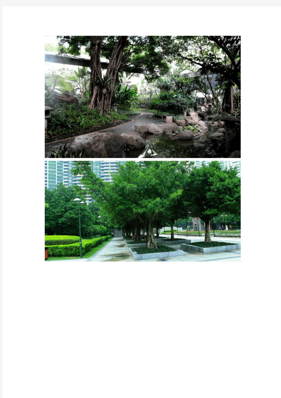 珠江公园观赏植物园林配置和造景艺术分析
