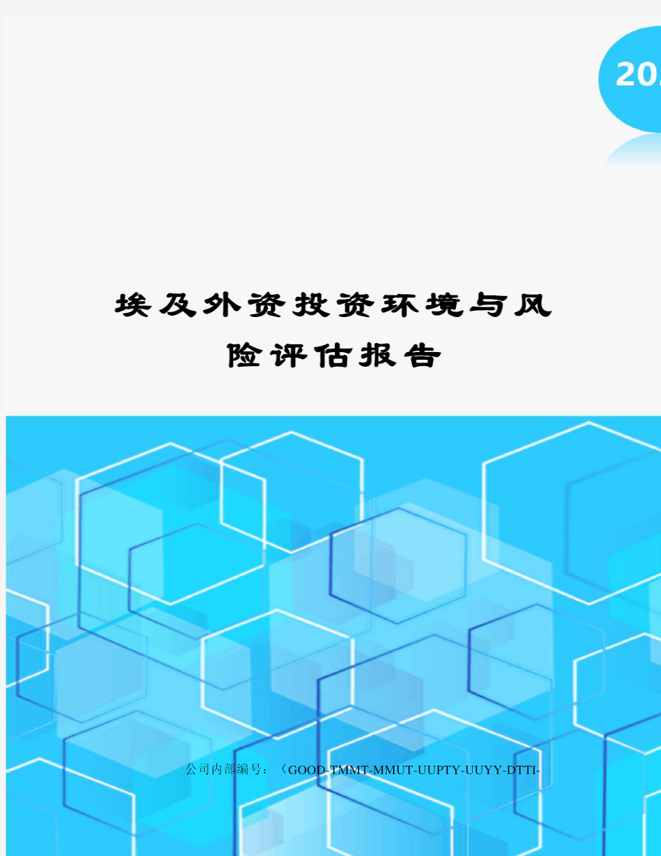 埃及外资投资环境与风险评估报告