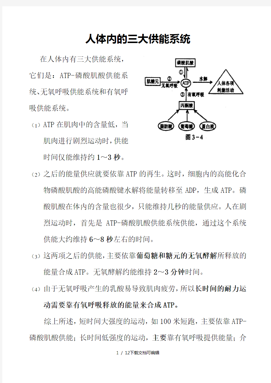 人体三大功能系统