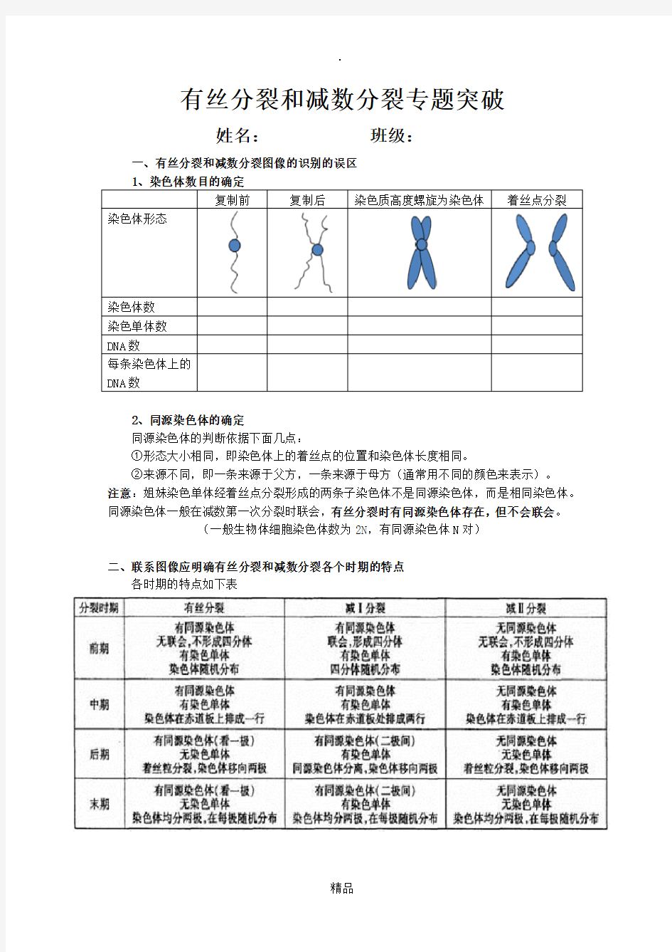 有丝分裂和减数分裂图解