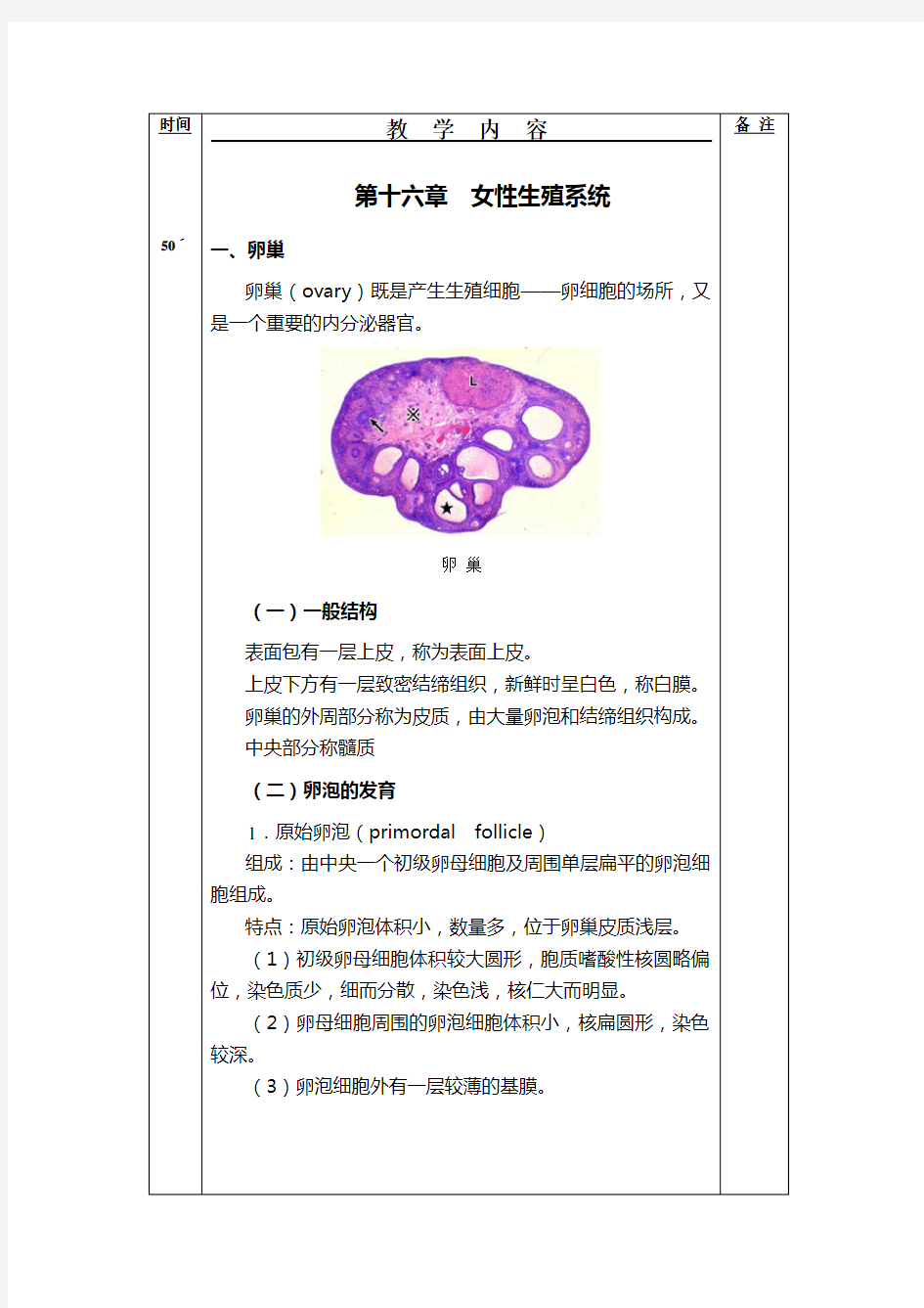 组织胚胎学教案