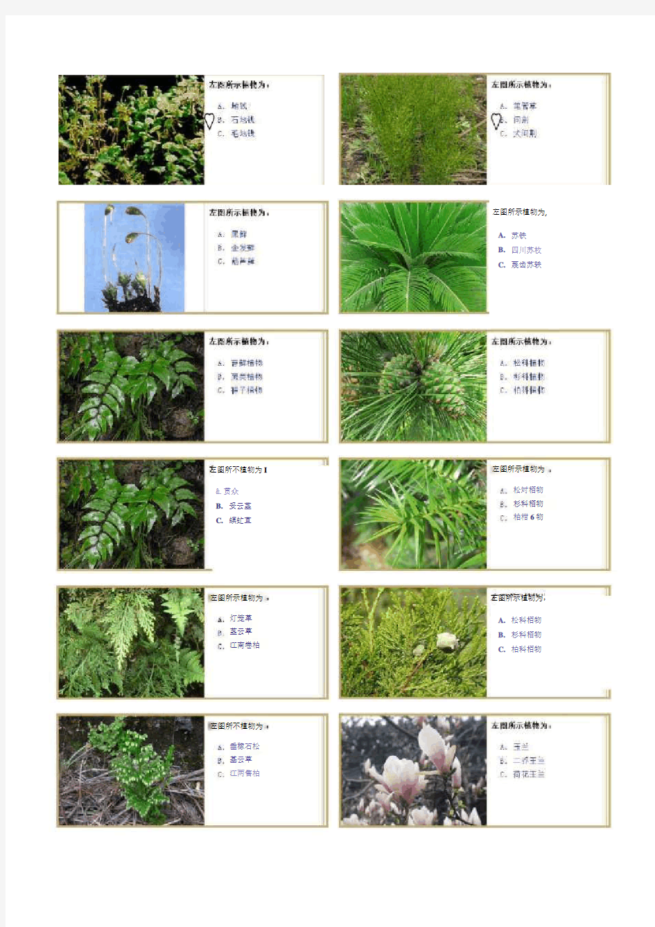 (完整版)植物学实验及答案