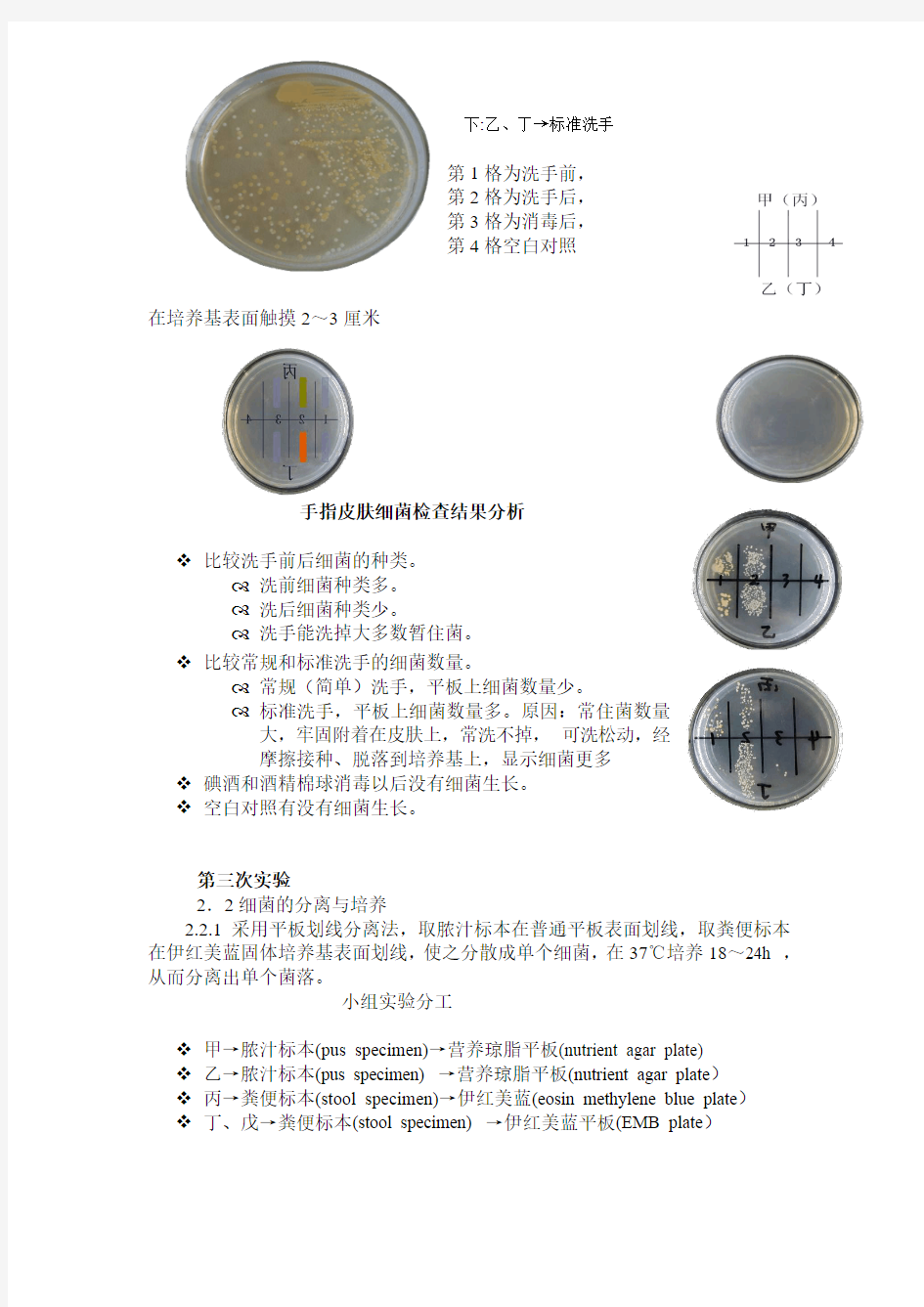 微生物实验报告2012054015杨小静.