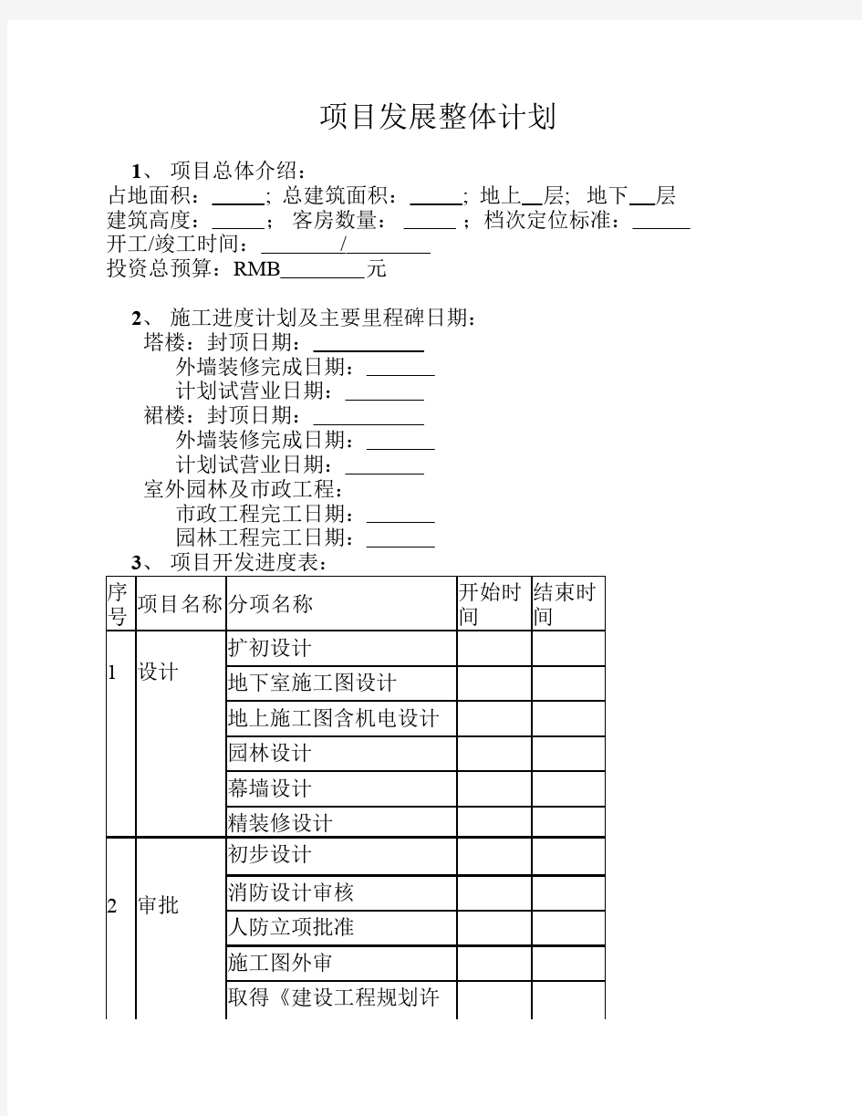 项目发展整体计划