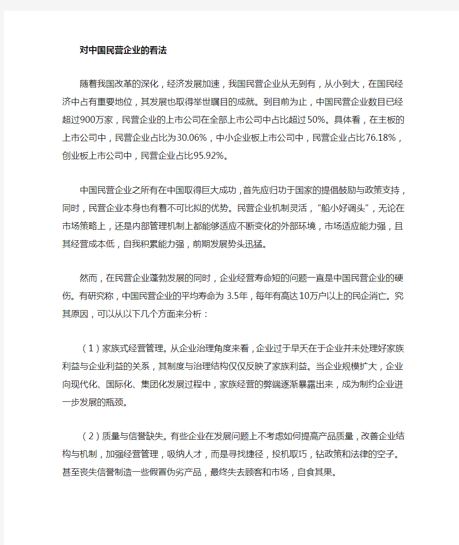 对中国民营企业的一些看法