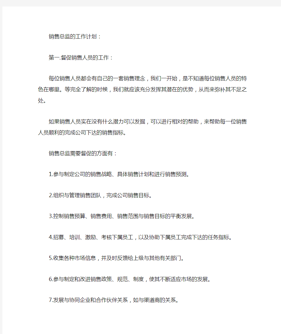 销售总监的工作计划