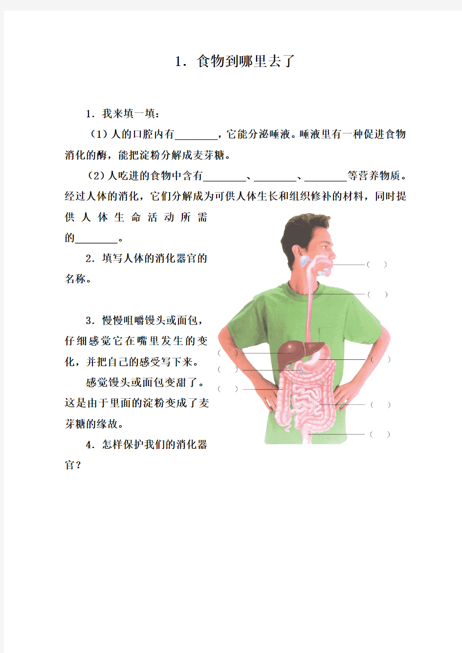 五下科学试题