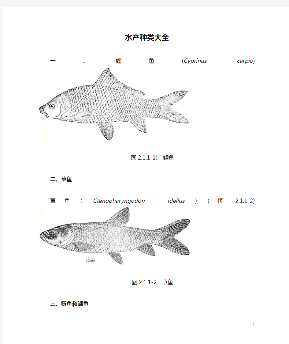 水产种类大全