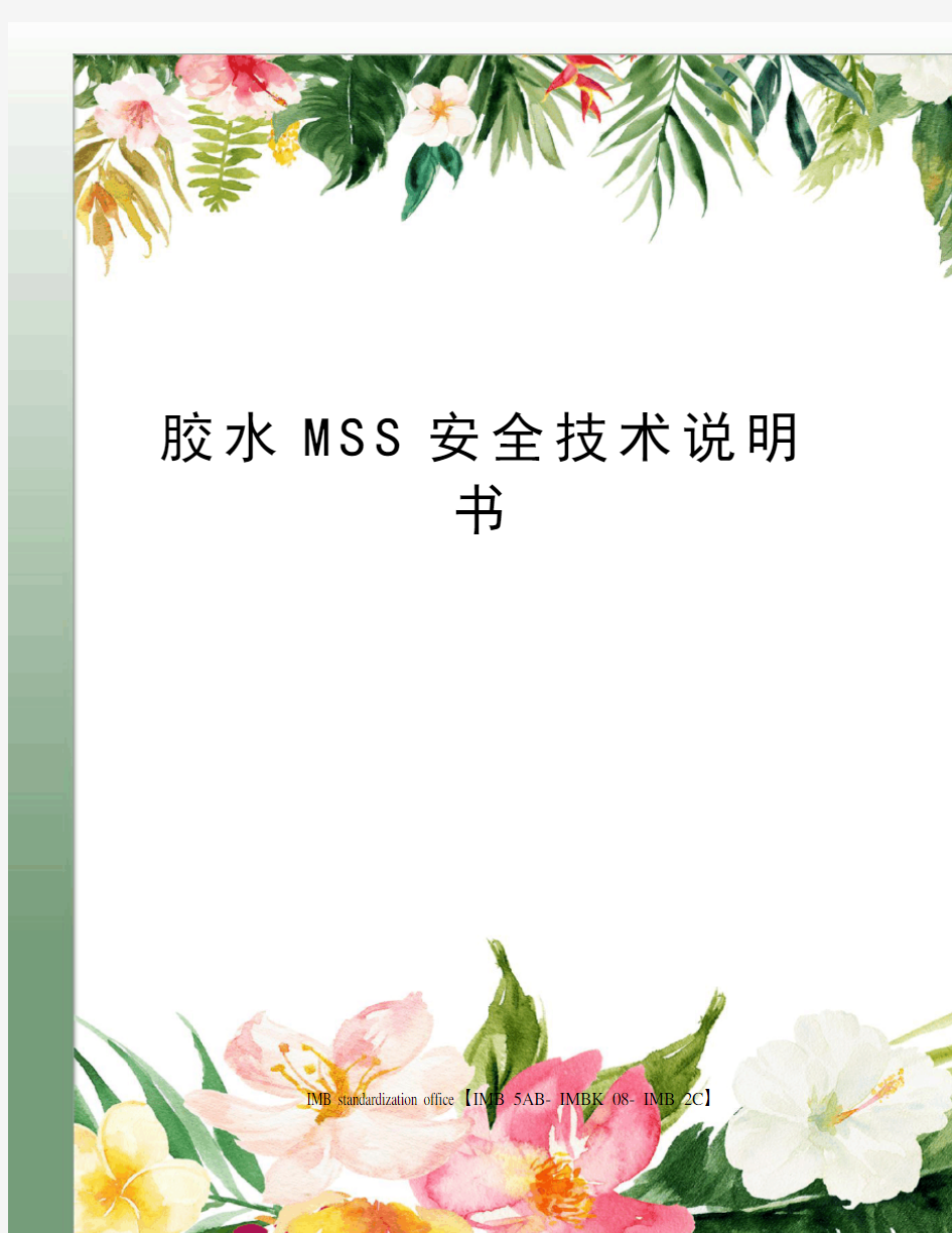 胶水MSS安全技术说明书