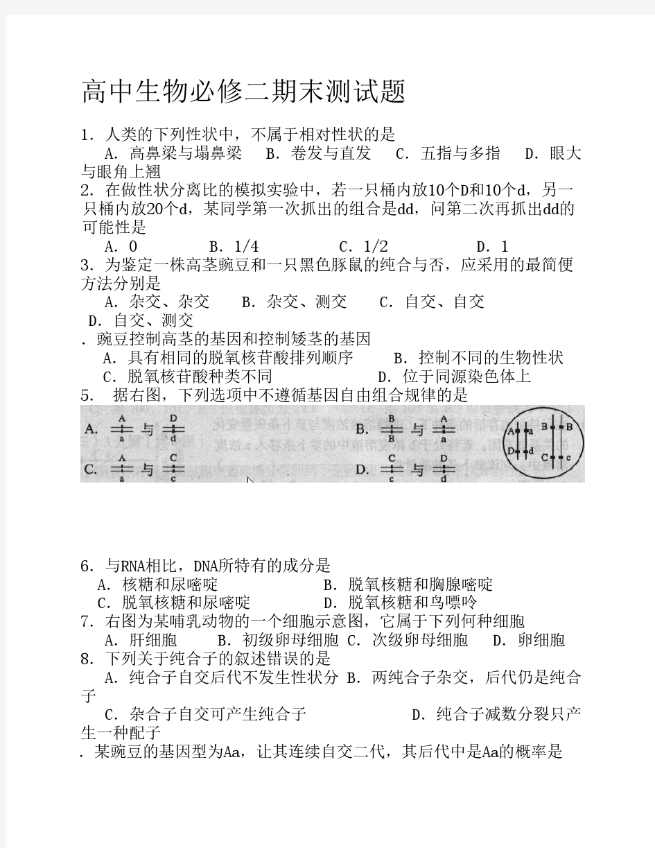 高中生物必修二期末试题及    答案