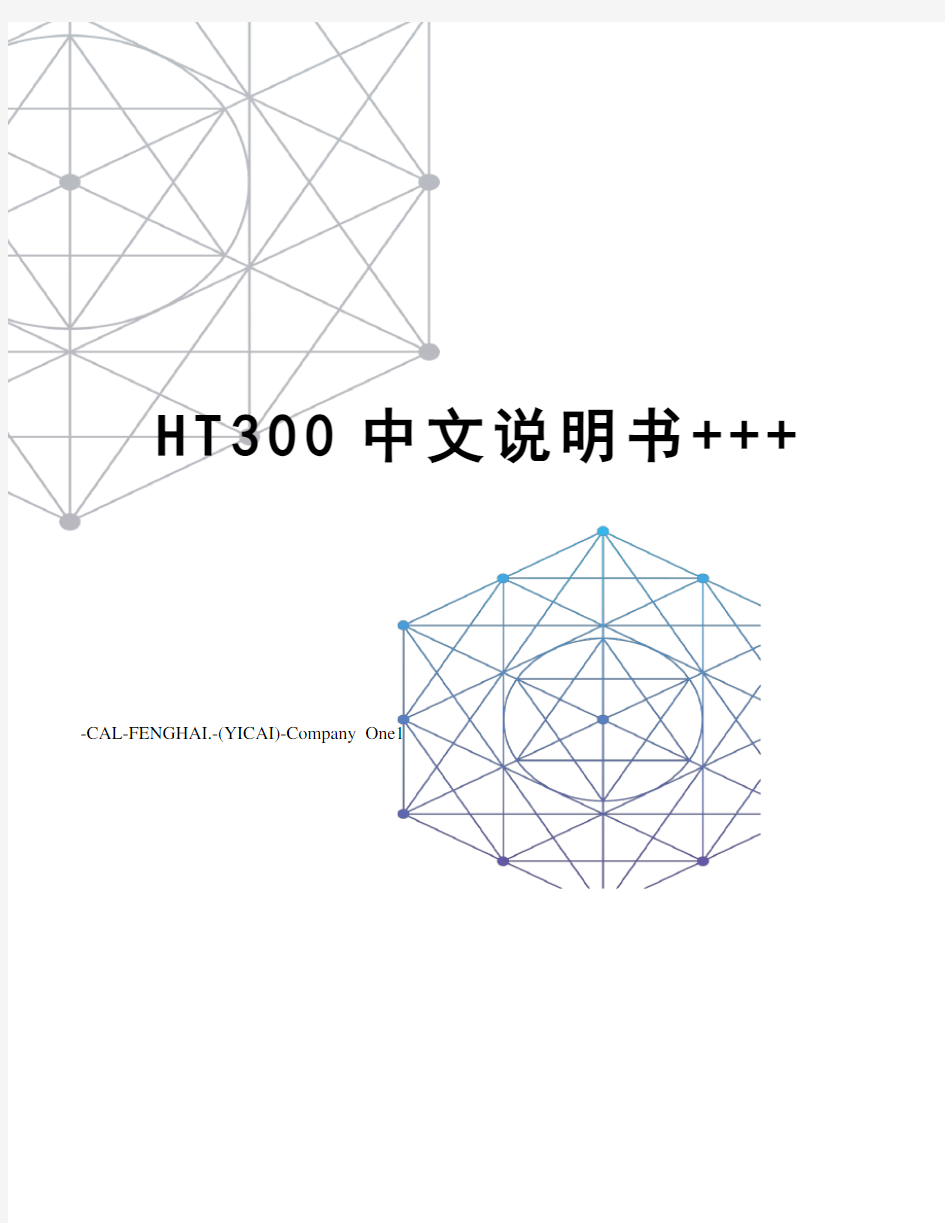 HT300中文说明书+++