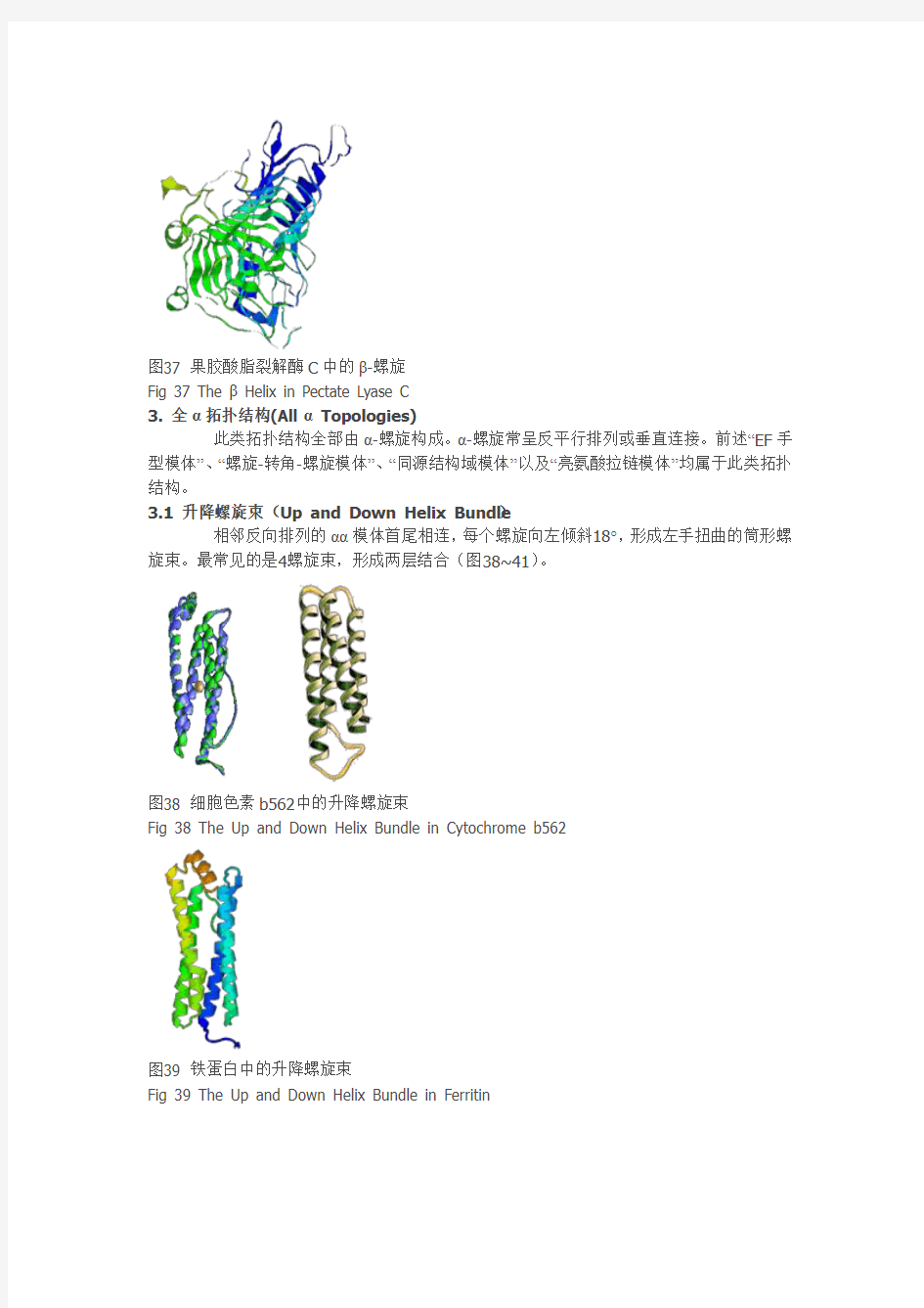 蛋白质的结构和功能