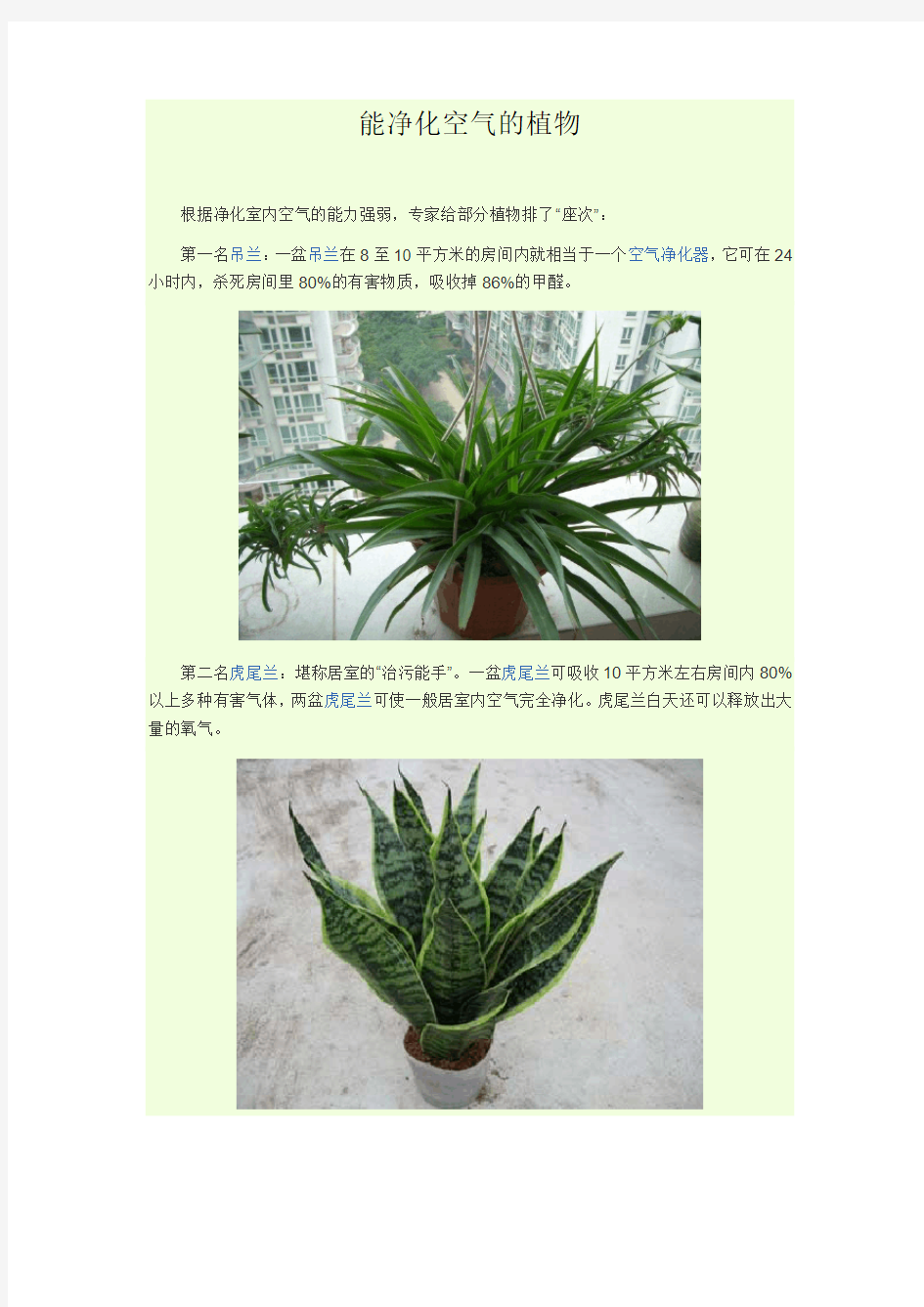 能净化空气的植物(配图版)