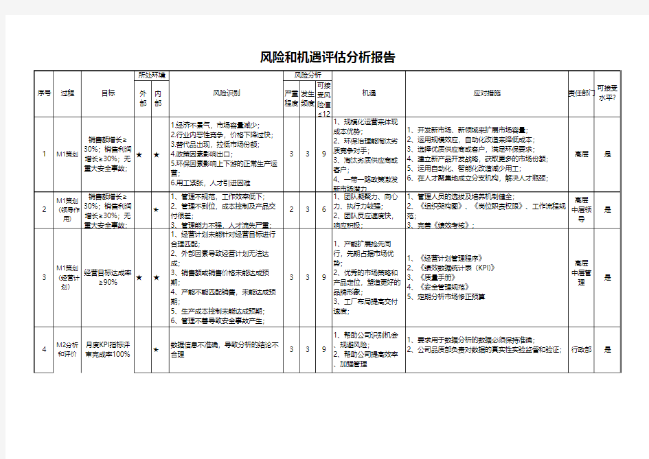 风险与机遇分析评估报告