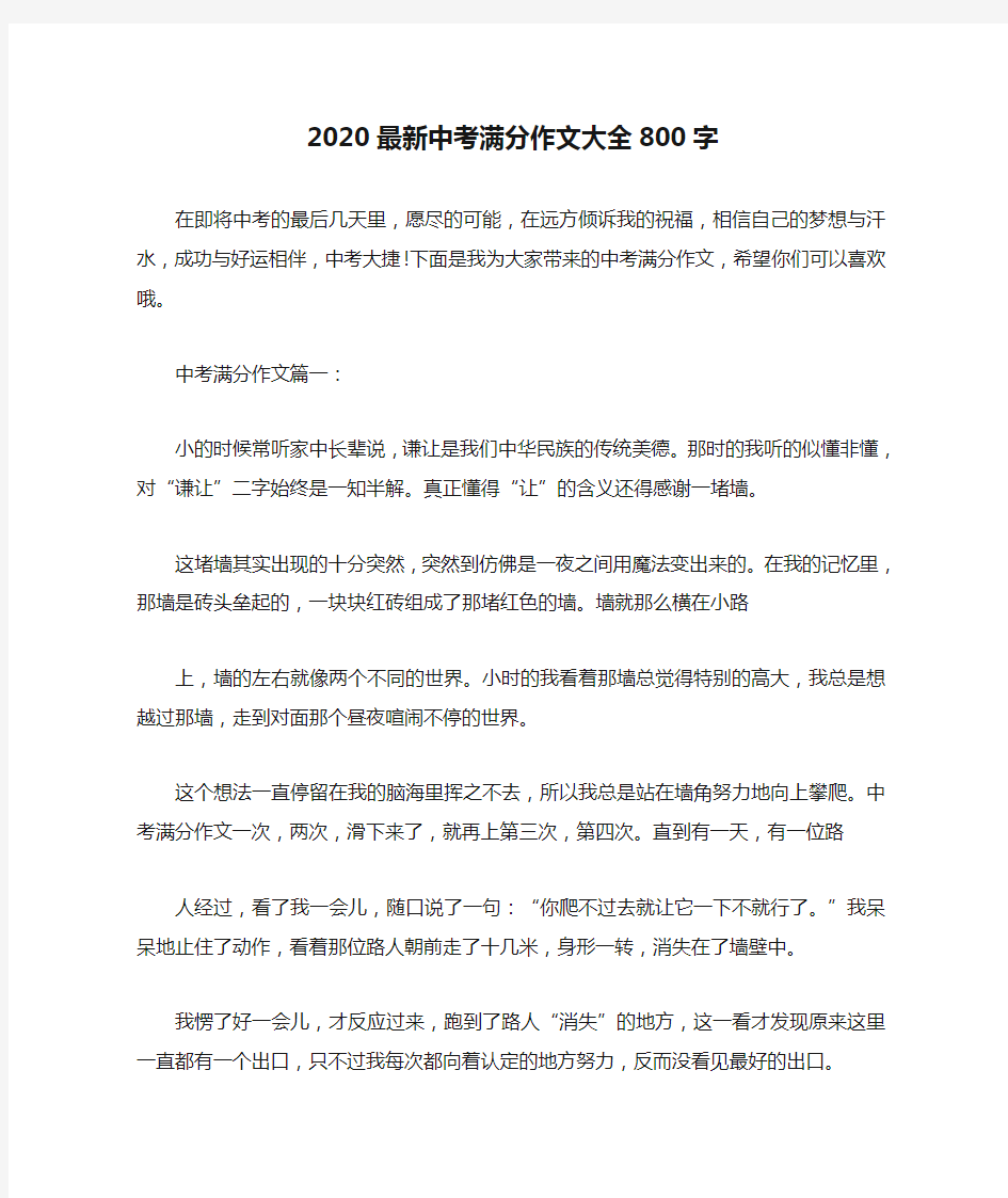 2020最新中考满分作文大全800字