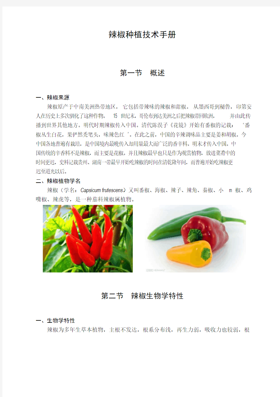 辣椒种植技术手册