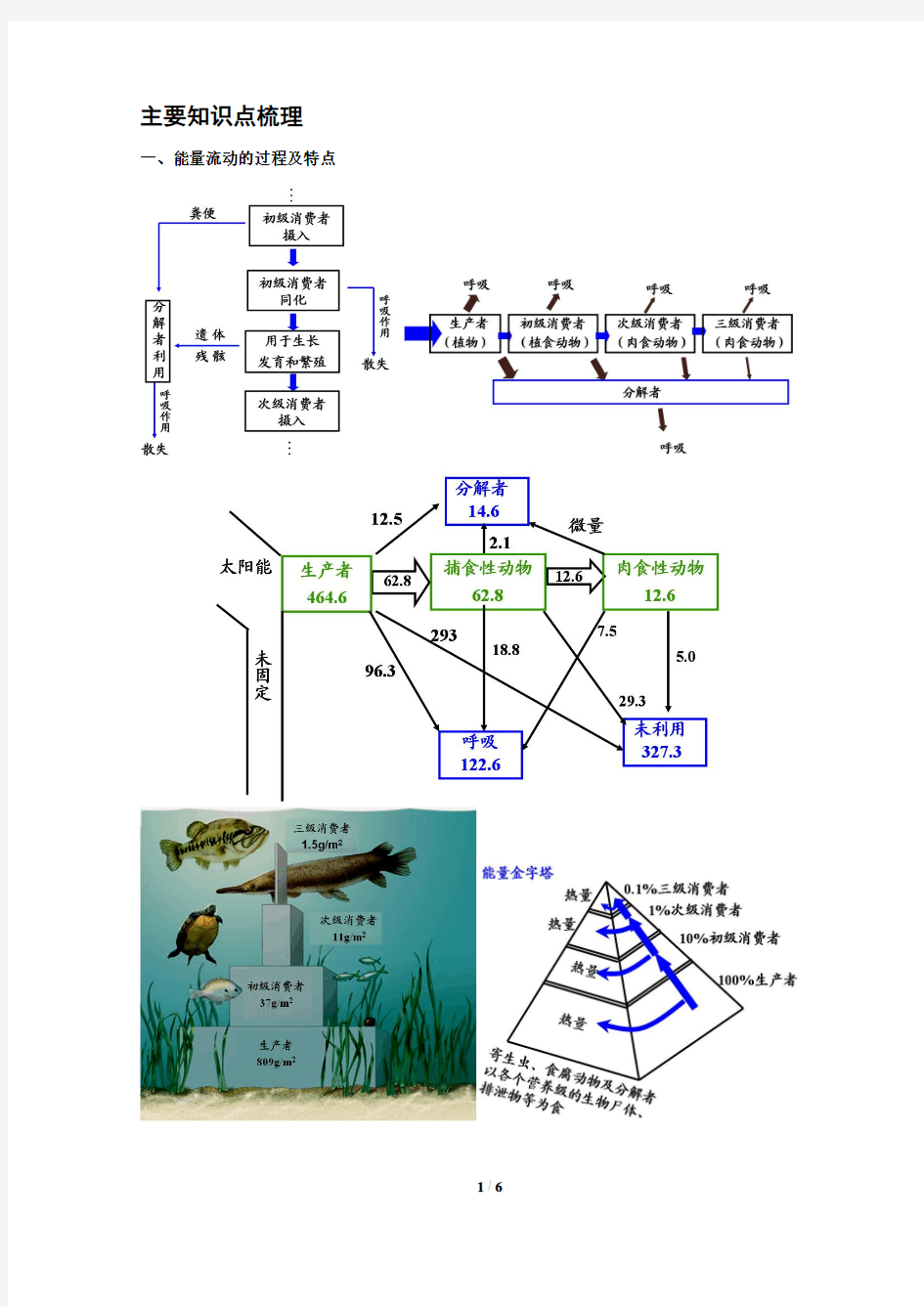 专题 生态系统的能量流动-讲义