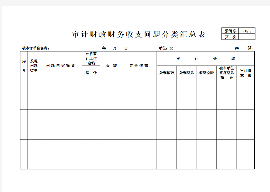 审计财政财务收支问题分类汇总表(Word)