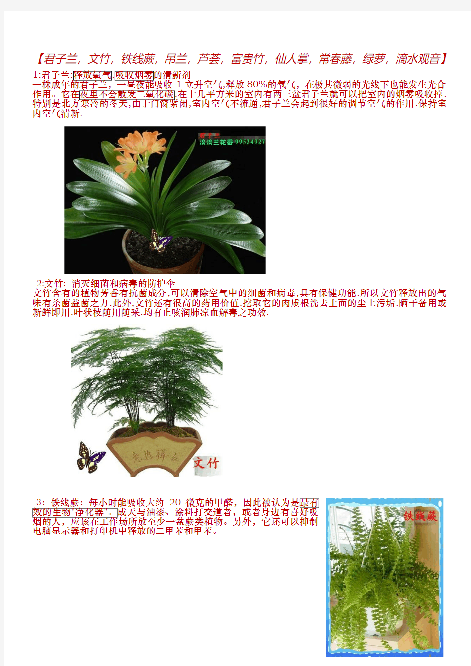 10种适合在室内摆放的植物、盆景