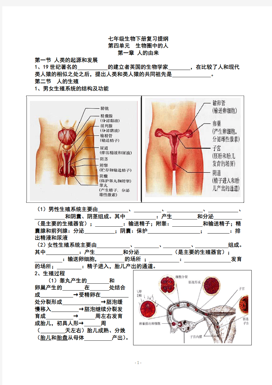 七下生物复习填空(打印)