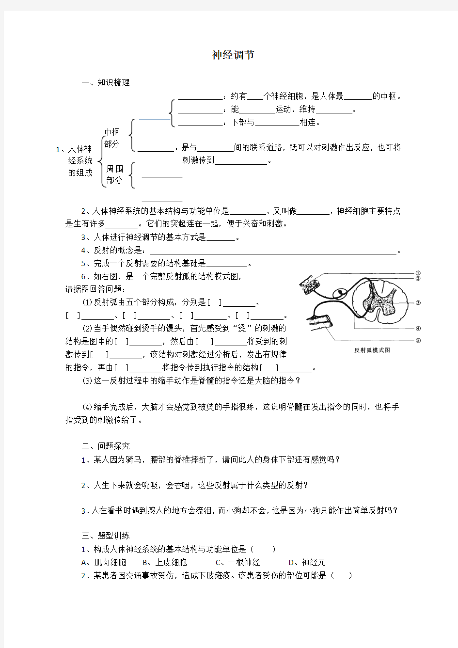 眼球的结构与视觉的形成