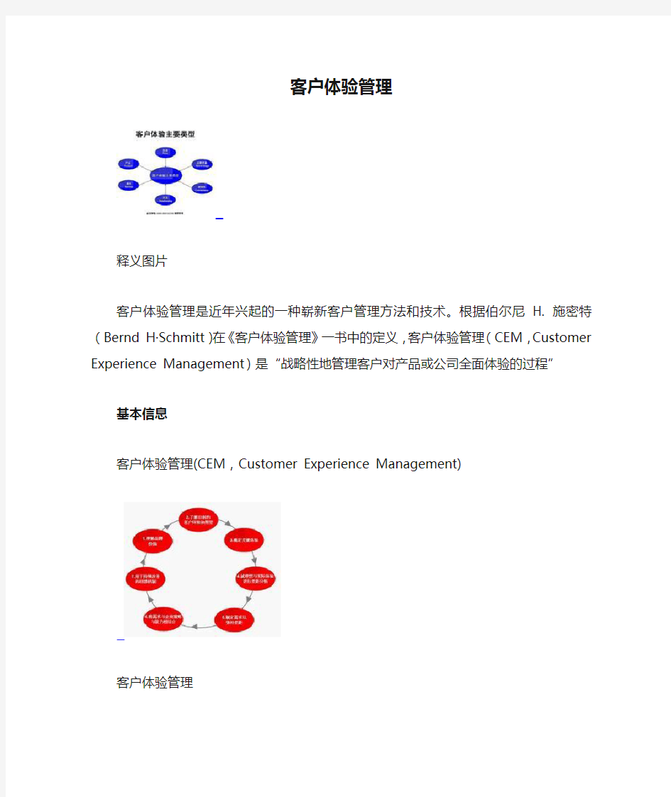 客户体验管理.doc