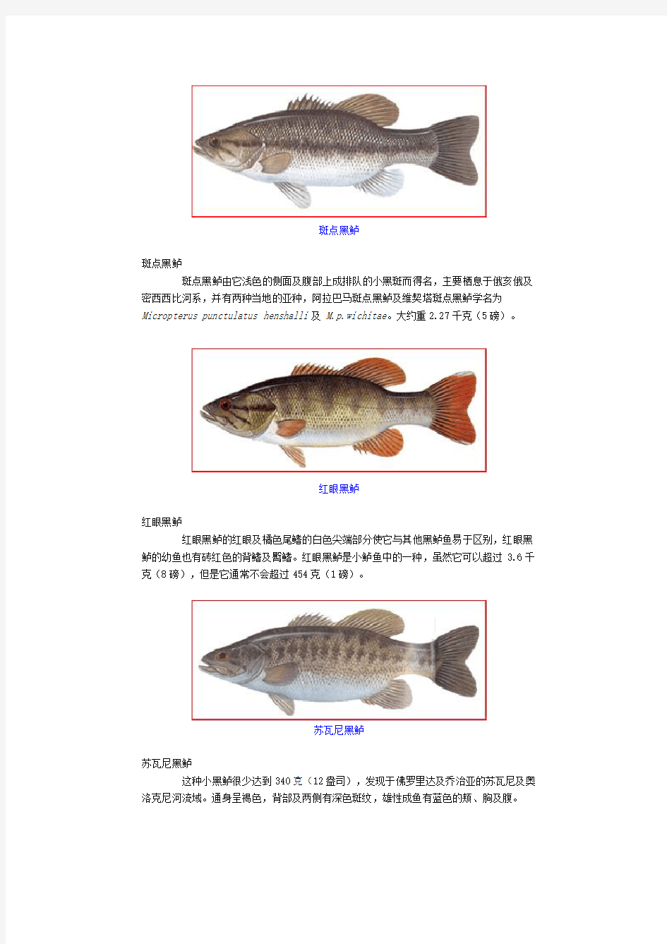 世界部分淡水鱼图谱汇编