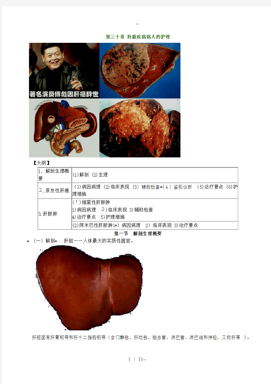 肝脏疾病病人的护理 精华版